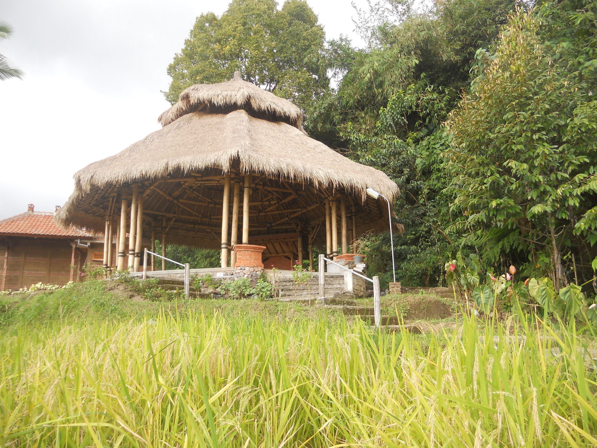 Puri Lumbung Cottages Gobleg (Bali) Exterior foto