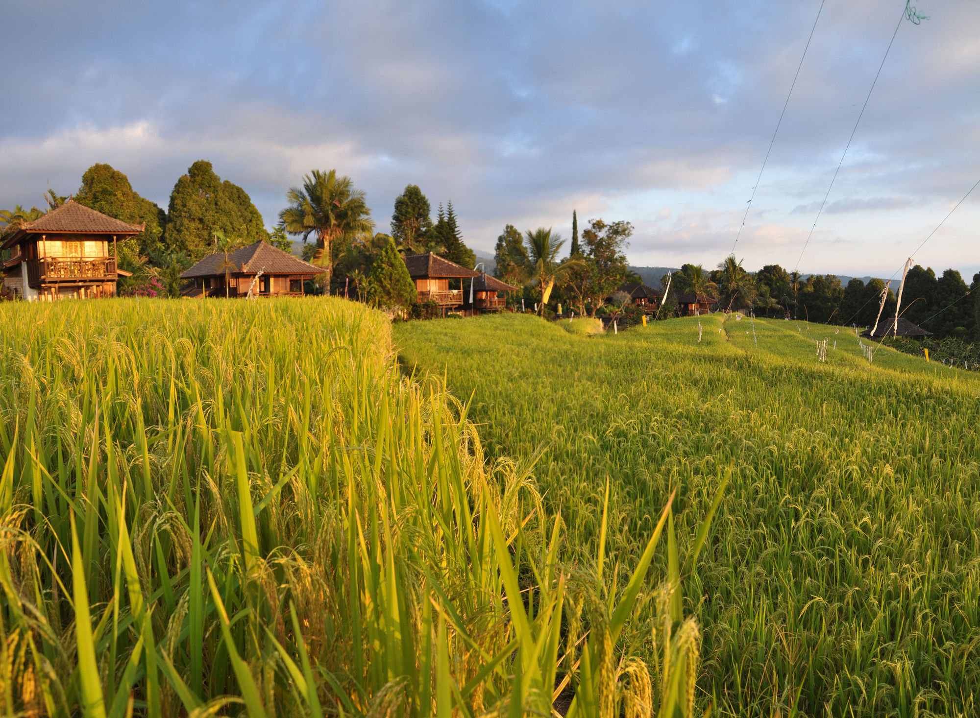 Puri Lumbung Cottages Gobleg (Bali) Exterior foto